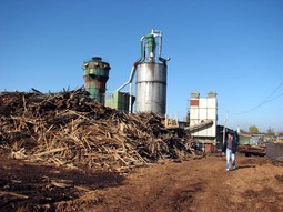 U Sloveniji cijena biomase je 30-50 posto viša od one u Hrvatskoj