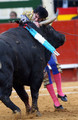 Borba bikova (bik je toro) vodi se u ringu za bikove nazivanim plaza de toros