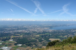 Ženeva (Wikipedia)