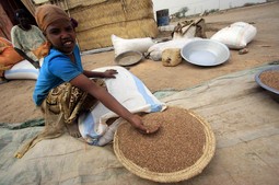 Glad u Africi prerasta u humanitarnu katastrofu