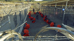 WikiLeaks - Zatočenici Guantanama dali ključne informacije za pronalazak bin...