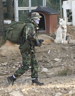 Južnokorejski vojnici s američkima provode vojne vježbe (Reuters)